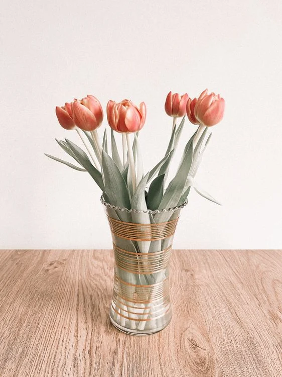 Coral pink tulips with fresh green leaves in a glass vase